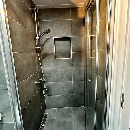 Wolf Apartament